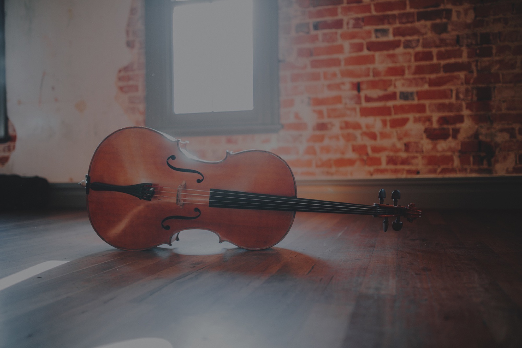 Cello, still life